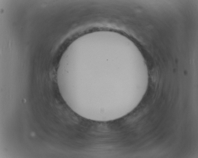 X0000081311495200702012321