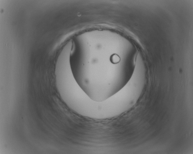 X0000081311496200702012321