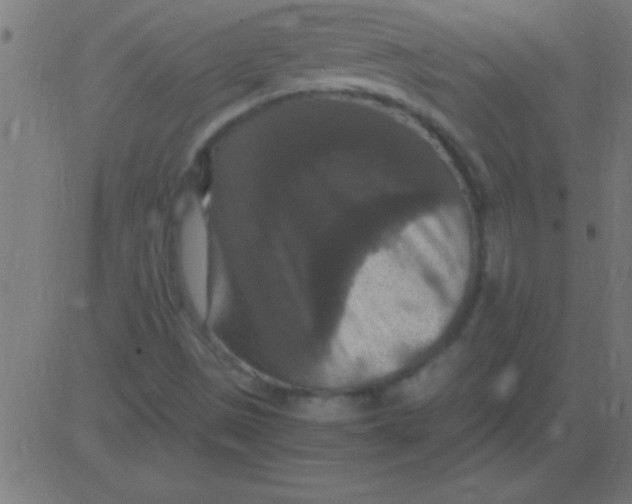 X0000081311497200702012321