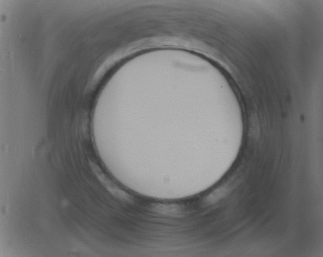 X0000081311499200702012321