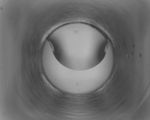 X0000081311500200702012321