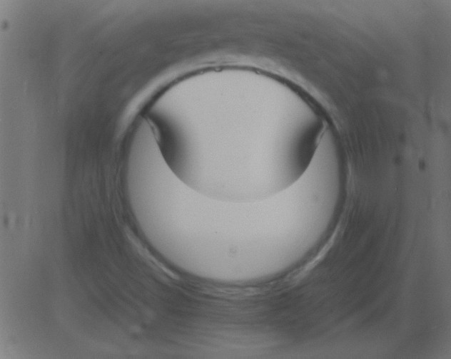 X0000081311502200702012321