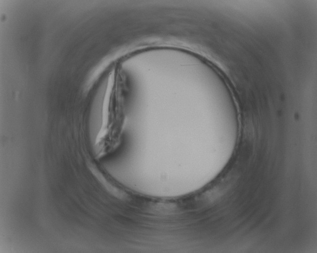 X0000081311503200702012321