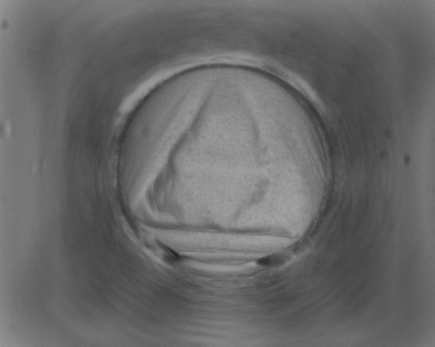 X0000081311504200702012321