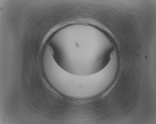 X0000081311506200702012321