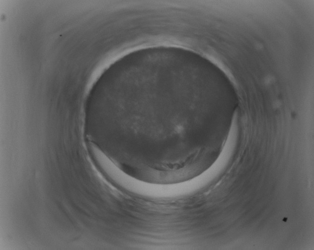 X0000081311508200702012321