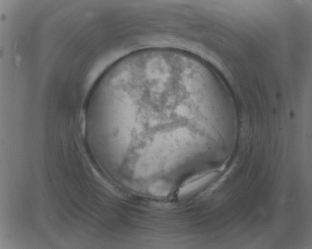 X0000081311509200702012321