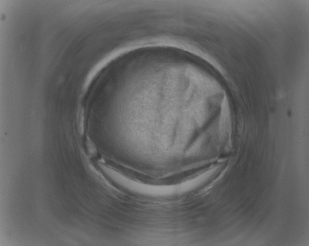 X0000081311510200702012321