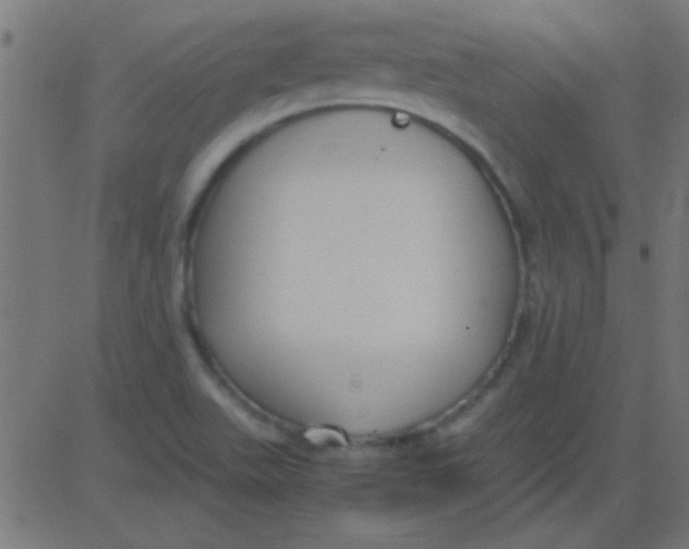 X0000081311511200702012321