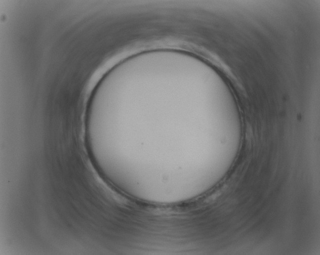 X0000081311512200702012321