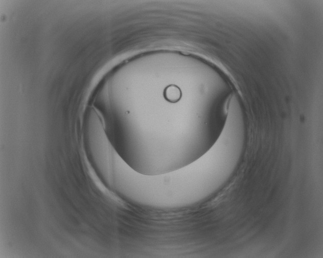 X0000081311515200702012321