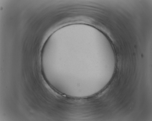 X0000081311516200702012321