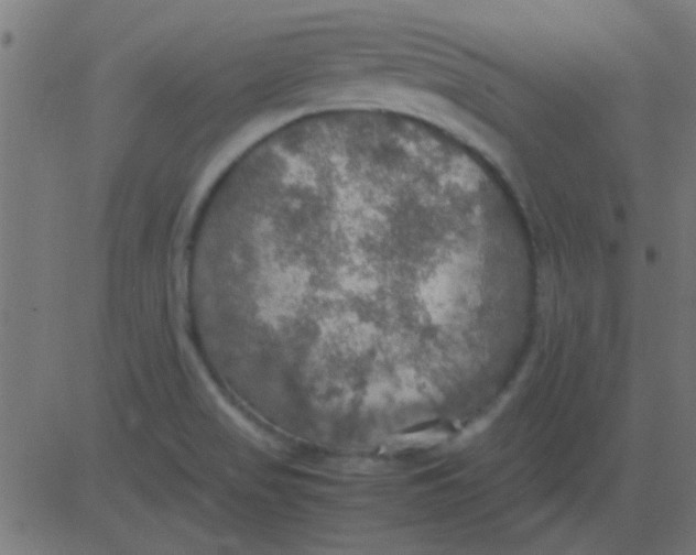 X0000081311517200702012321