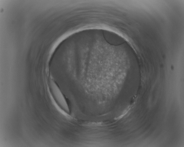 X0000081311519200702012321