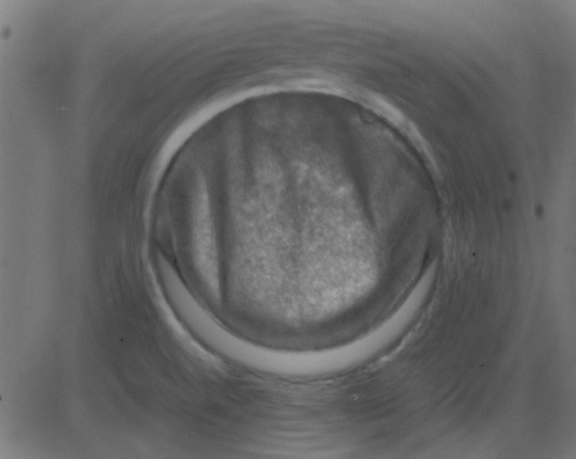 X0000081311520200702012321