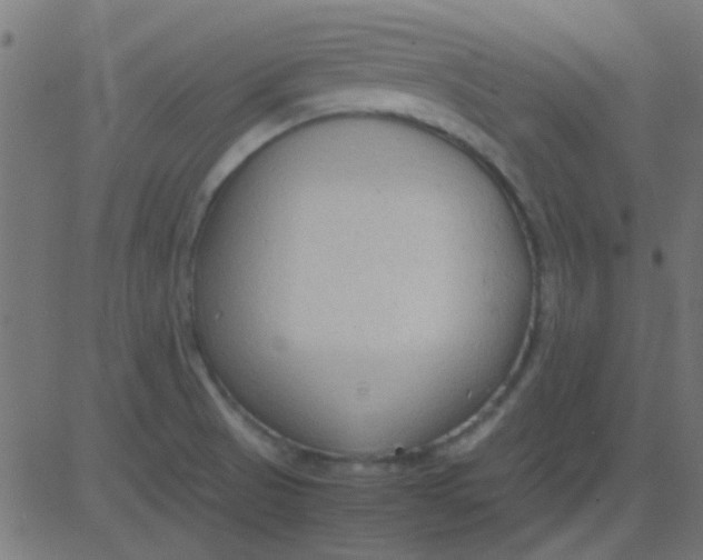 X0000081311521200702012321