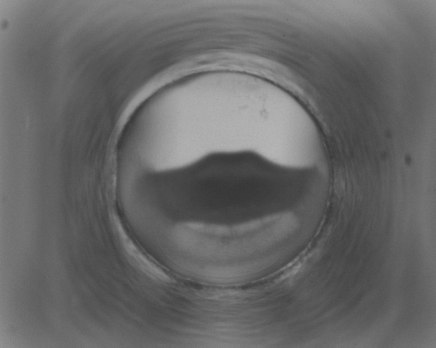 X0000081311522200702012321