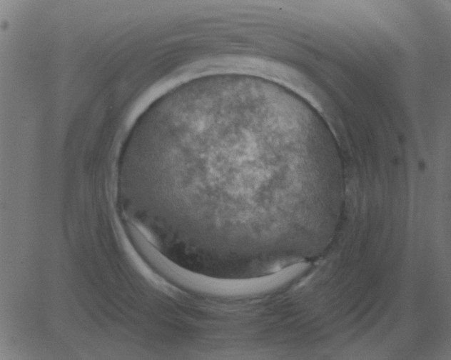 X0000081311523200702012321