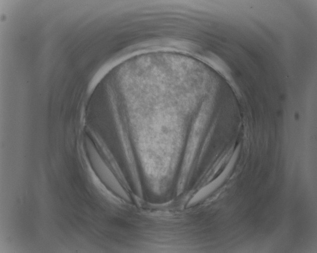 X0000081311524200702012321