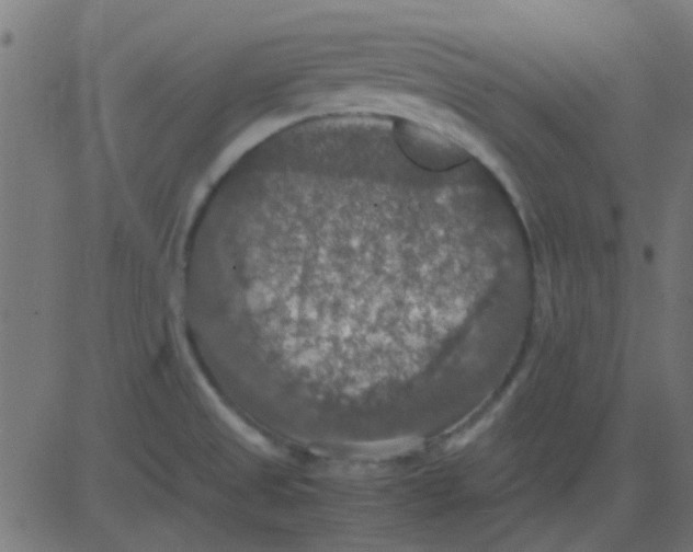 X0000081311525200702012321