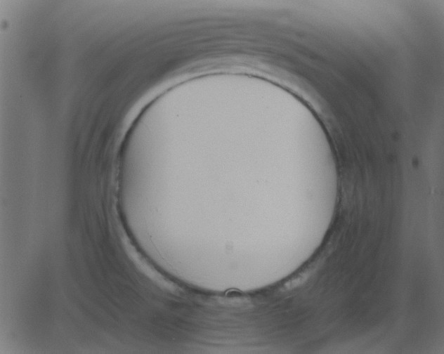 X0000081311526200702012321