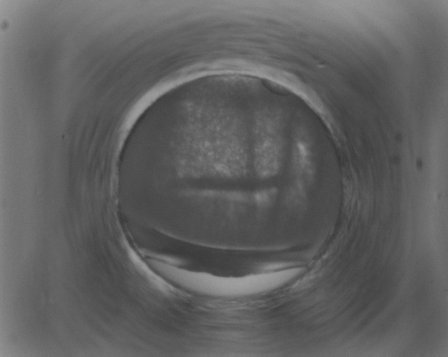 X0000081311527200702012321