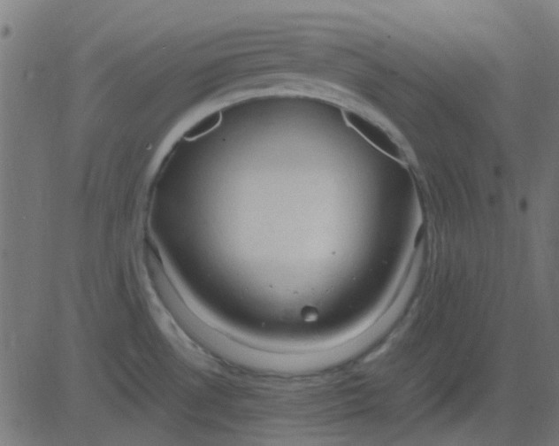 X0000081311530200702012322