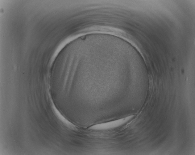 X0000081311531200702012322