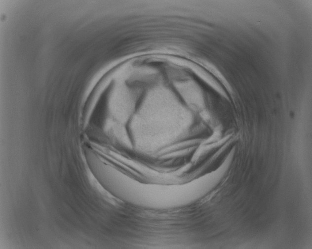 X0000081311532200702012322