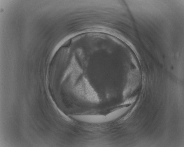 X0000081311533200702012322