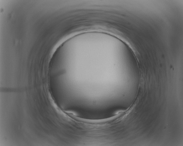 X0000081311534200702012322