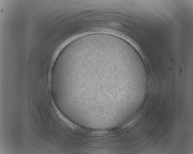 X0000081311535200702012322