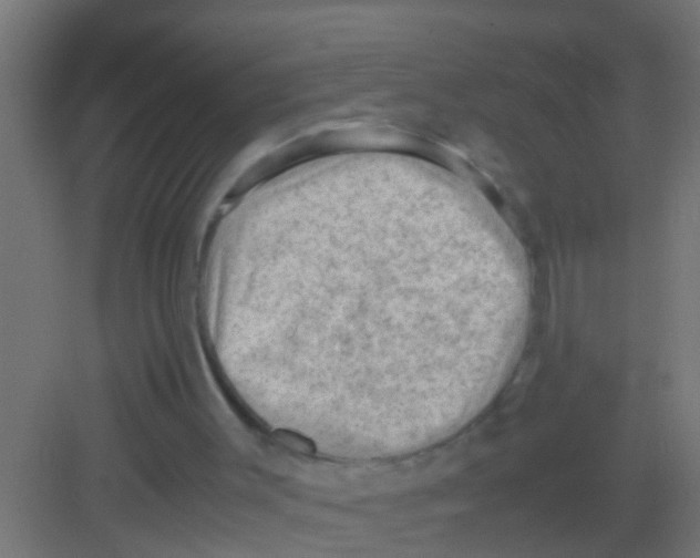 X0000081310003200702082122