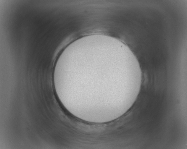 X0000081310004200702082122