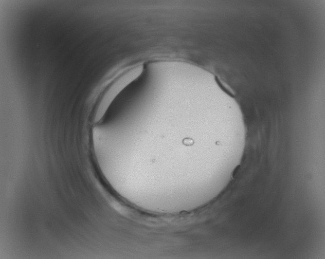 X0000081310005200702082122