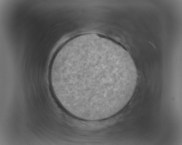 X0000081310006200702082122