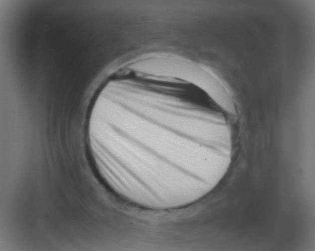 X0000081310007200702082122