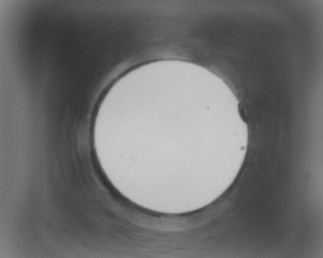 X0000081310008200702082122