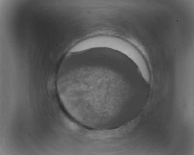 X0000081310009200702082122