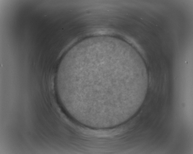 X0000081310010200702082122