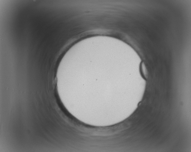 X0000081310011200702082122