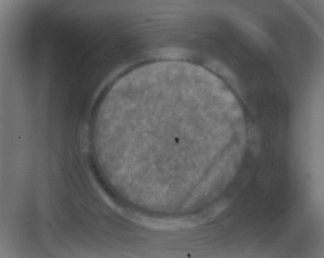 X0000081310012200702082122