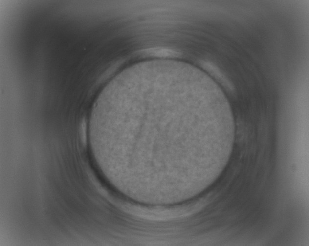 X0000081310014200702082122