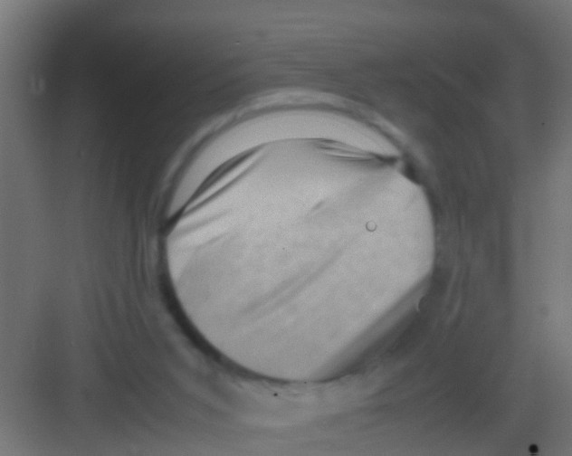 X0000081310015200702082122