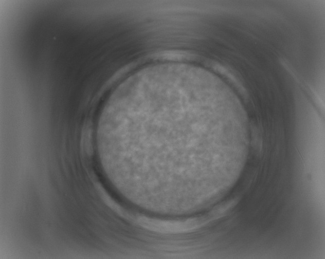 X0000081310016200702082122