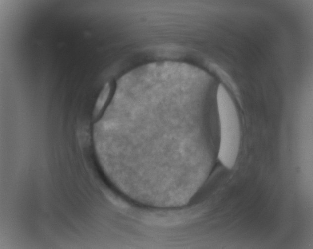 X0000081310017200702082122