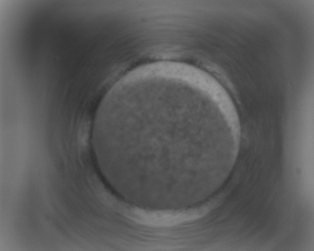 X0000081310018200702082122