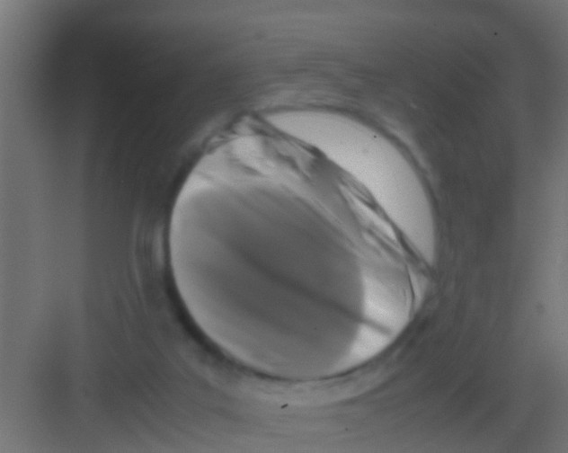 X0000081310019200702082122