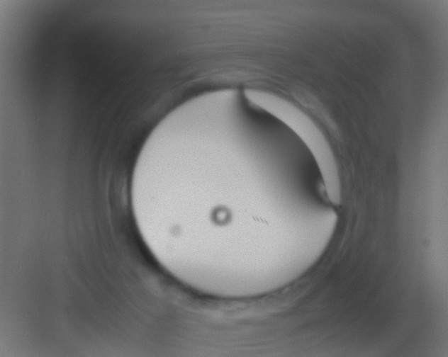 X0000081310021200702082122