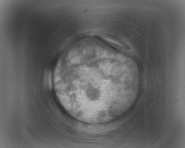 X0000081310022200702082122